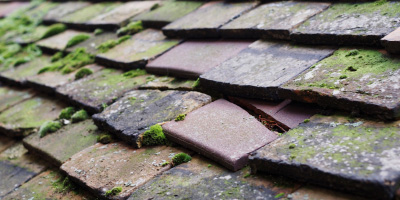 The Lizard roof repair costs